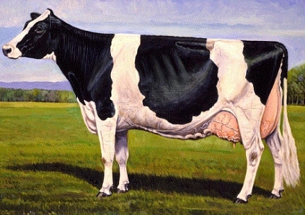 Holstein