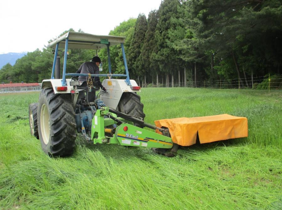 R7牧草刈取り