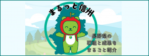 バナー（まるっと信州）