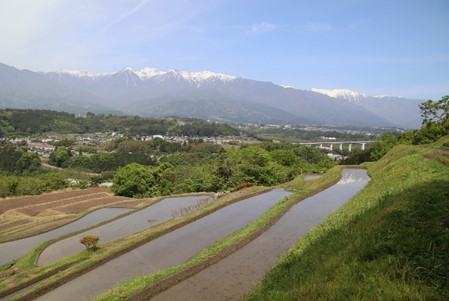 飯沼の棚田