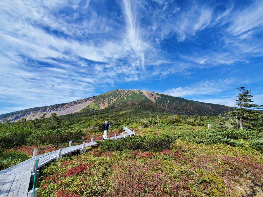 田の原天然公園の写真