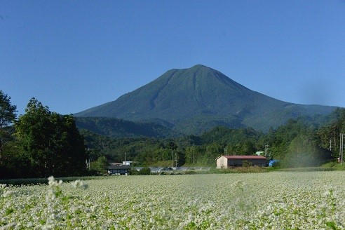 hiwada-huji