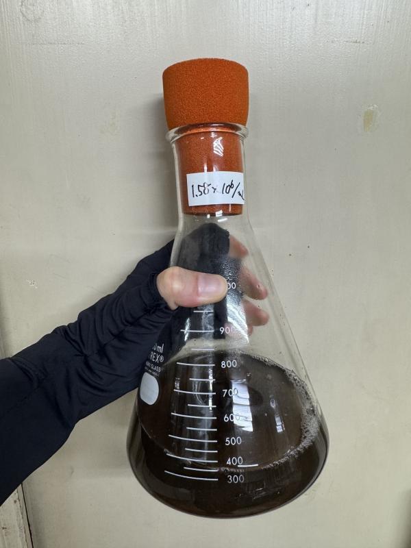 bacterial_liquid