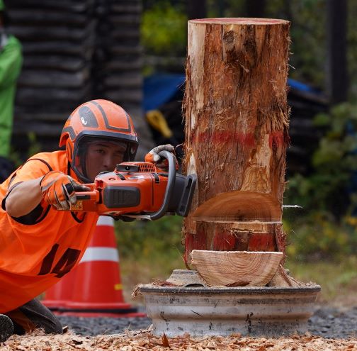 伐倒競技(簡易)