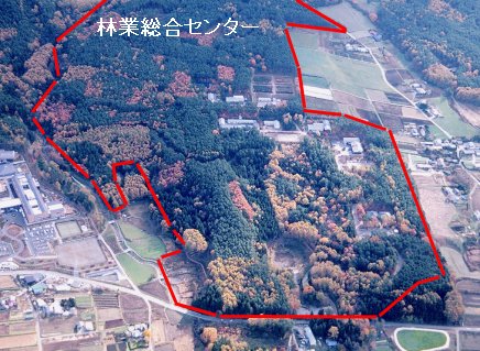 写真：長野県林業総合センター航空写真