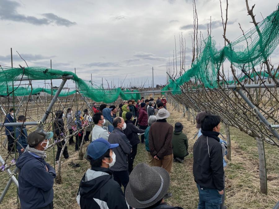 写真２　ほ場見学の様子