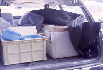 写真：羽田から車で運ばれたマレーナの発眼卵。右側の白い箱の中