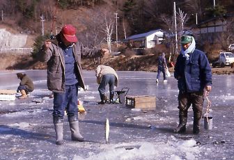 写真：結氷した立岩湖（南佐久郡南相木村）でシナノユキマスの穴釣り