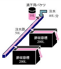 イラスト：かけ流し方法のモデル