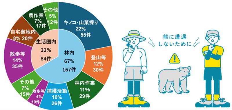 kuma_piechart